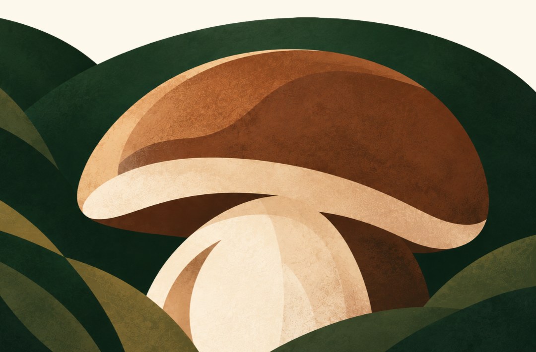 Illustrazione ufficiale della festa: un grande porcino tra le colline verdi del sottobosco